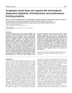 Kinetochores and centromeres in anaphase