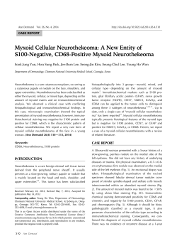 Myxoid Cellular Neurothekeoma: A New Entity of S100