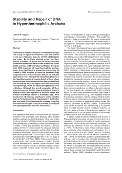 Stability and Repair of DNA in Hyperthermophilic Archaea