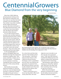 Blue Diamond from the very beginning