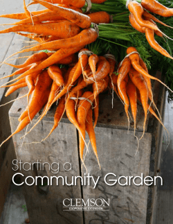Community Garden - Clemson University