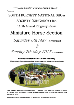 Miniature Horse Section.