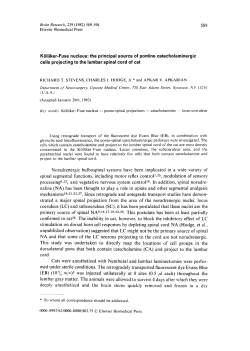 KSIliker-Fuse nucleus: the principal source of