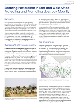 Securing Pastoralism in East and West Africa: Protecting and