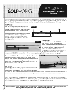 NESC Economy Golf Club Scale