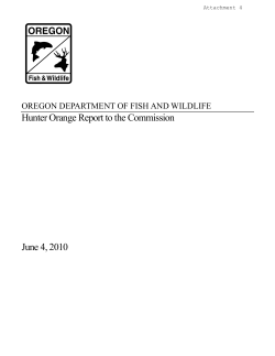 Hunter Orange Report to the Commission June 4, 2010
