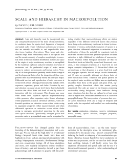 SCALE AND HIERARCHY IN MACROEVOLUTION