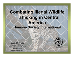 Combating Illegal Wildlife Trafficking in Central America