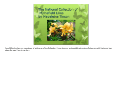 mylnefield-lilies-national-collection