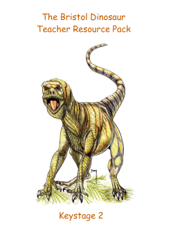 Palaeontology Key Stage 2 - Bristol Dinosaur Project