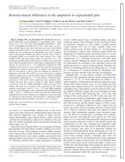 Between-muscle differences in the adaptation to experimental pain