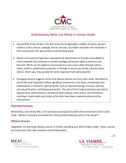 Fact Sheet on Nitrite