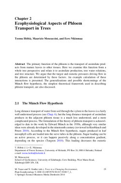 Ecophysiological Aspects of Phloem Transport in Trees