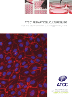 ATCC&reg; PRIMARY CELL CuLTuRE GuIdE
