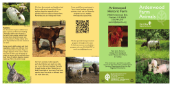 Ardenwood Farm Animals - East Bay Regional Park District