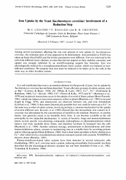 Iron Uptake by the Yeast Sacchavomyces ceveuisiae