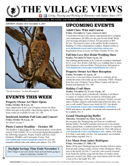 the village views - Innsbrook Resort