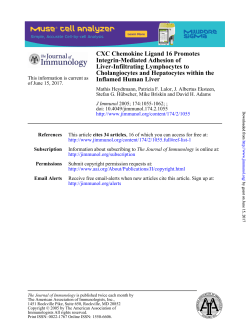 Inflamed Human Liver Cholangiocytes and Hepatocytes within the