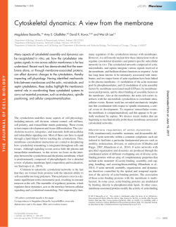 Cytoskeletal dynamics: A view from the membrane
