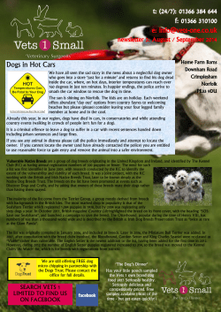 t: (24/7): 01366 384 644 f: 01366 310100 e: info@vets