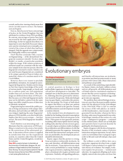 Evolutionary embryos