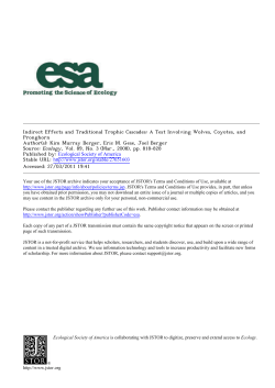 Indirect Effects and Traditional Trophic Cascades: A Test Involving