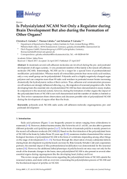 Is Polysialylated NCAM Not Only a Regulator during Brain
