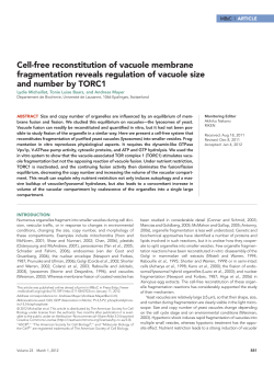 Cell-free reconstitution of vacuole membrane fragmentation reveals