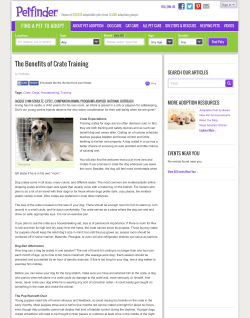 File - Jefferson County SPCA