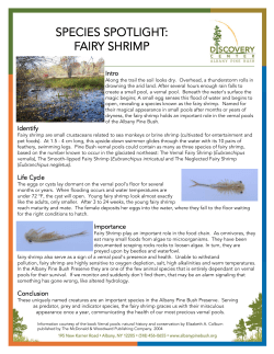Species Spotlight - Albany Pine Bush Preserve