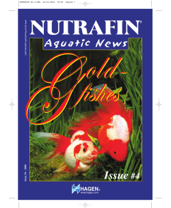 NUTRAFIN Nr.4-USA