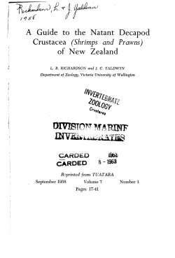 of New Zealand