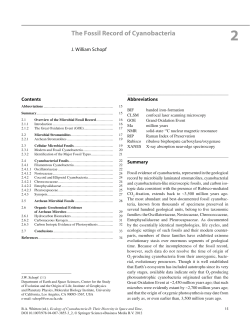 The Fossil Record of Cyanobacteria