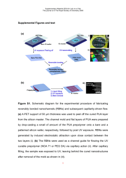1 Supplemental Figures and text Figure S1. Schematic diagram for