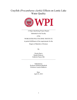 Final Draft.docx - Worcester Polytechnic Institute