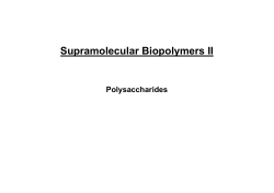 Supramolecular Biopolymers II