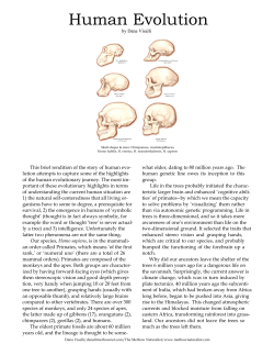 Human Evolution 2015