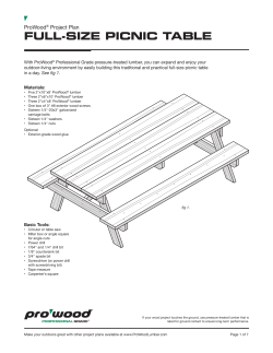 ProWood Full-Size Picnic Table Project Plan
