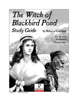 The Witch of Blackbird Pond