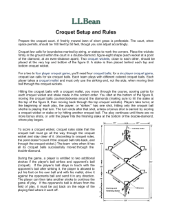 Croquet Setup and Rules