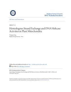 Homologous Strand Exchange and DNA Helicase Activities in Plant