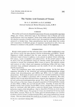 181 The Nucleic Acid Contents of Viruses