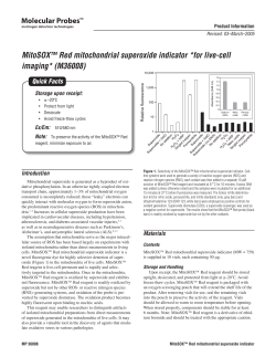 MitoSOX &trade; Red mitochondrial superoxide indicator