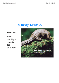 Classification Notes - Perry Local Schools