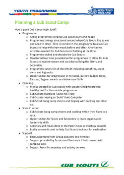 Planning a Cub Scout Camp