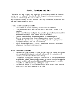 scales, feathers and fur teacher packet