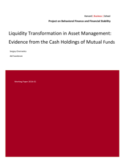 Liquidity Transformation in Asset Management