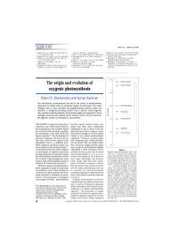 TALKING POINT The origin and evolution of oxygenic photosynthesis
