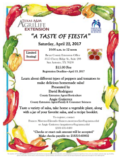 a taste of fiesta