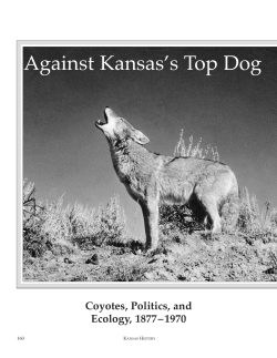 Against Kansas`s Top Dog - Kansas Historical Society